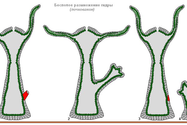 Кракен площадка kraken clear com