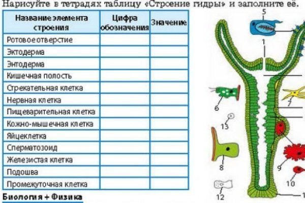 Кракен как попасть